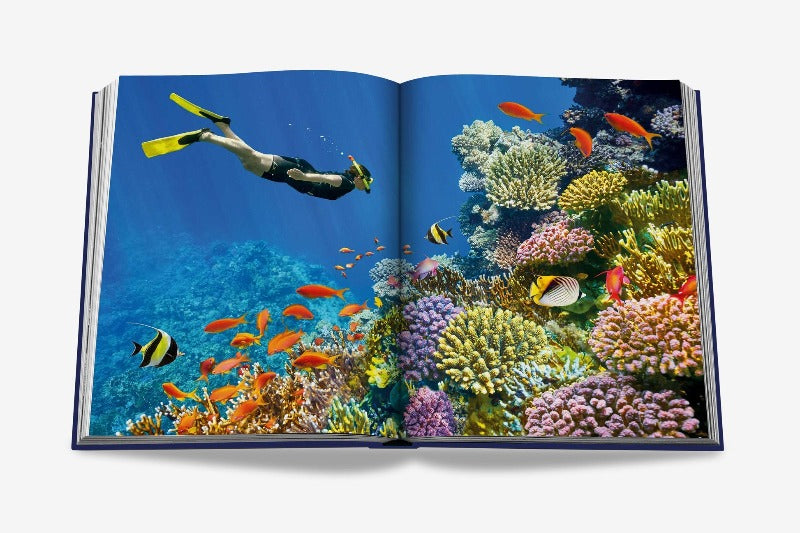 ASSOULINE Ocean Wanderlust