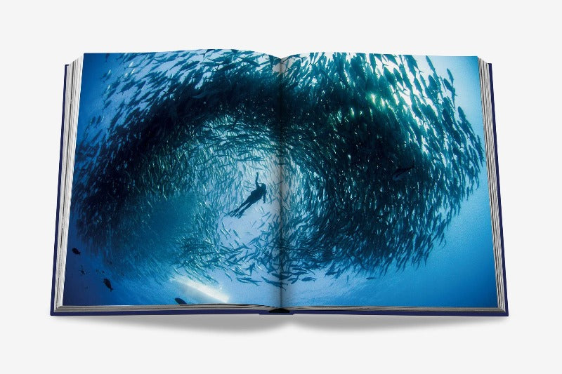 ASSOULINE Ocean Wanderlust