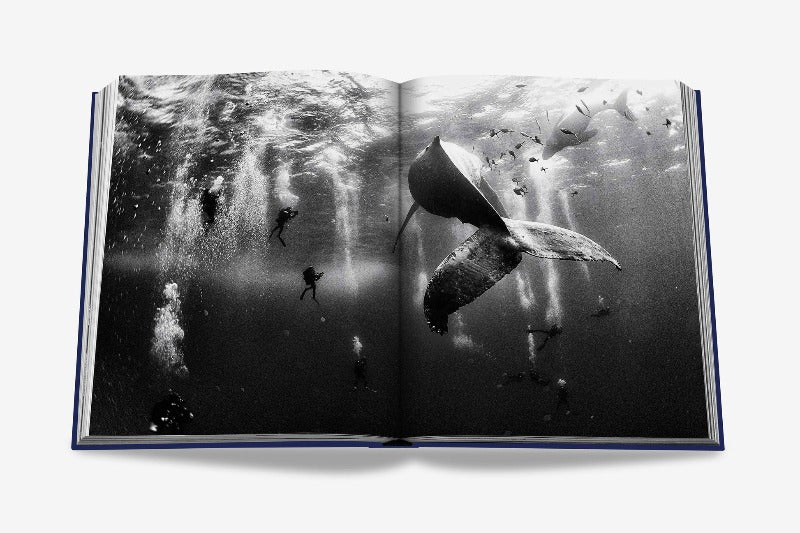 ASSOULINE Ocean Wanderlust